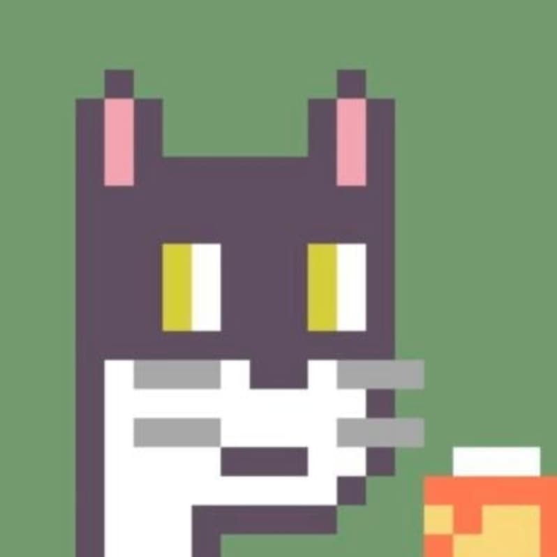 Picture of the author