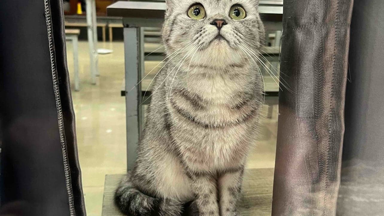 Picture of the author