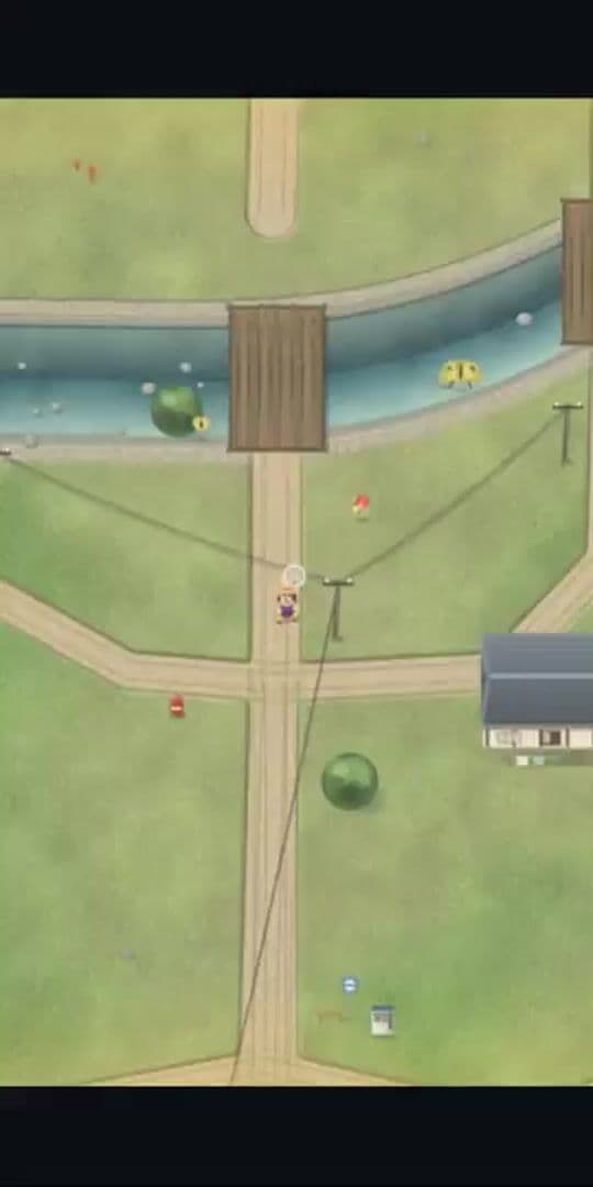 Bug-Catch Summer